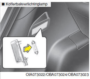  Vervangen van de binnenverlichtinglamp 