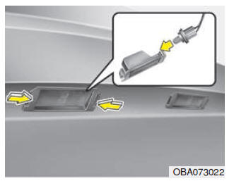 Vervanging van het nummerplaat verlichting 