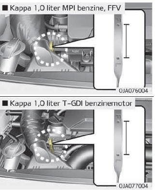 Motoroliepeil controleren